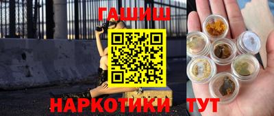 Альфа ПВП Можга