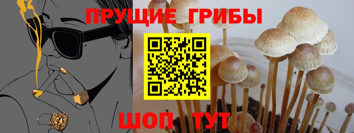 Псилоцибиновые грибы ЛСД Шатура